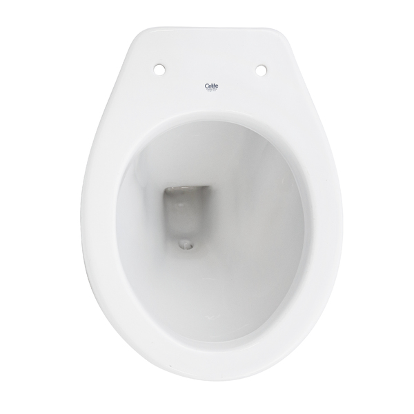 Vaso Sanitário Especial (pne) Branco Saída Vertical Acesso Sem Aba Frontal - Celite - Imagem 5