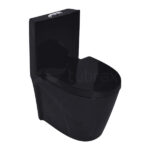 Vaso Sanitário Monobloco Completo Caixa Acoplada Privada Preto Modelo Unio - Tubrax